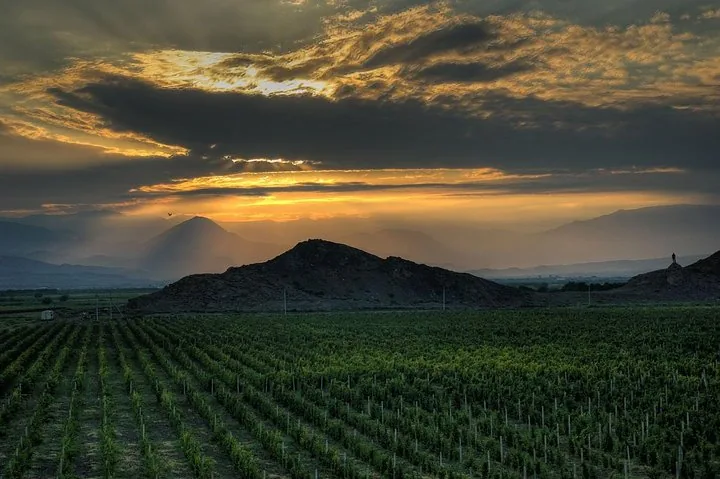 Paysage de vignoble au coucher du soleil avec le mont Ararat visible au loin